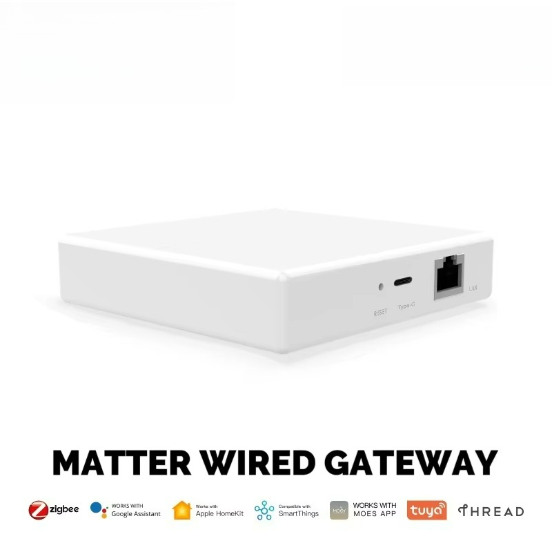 voor Tuya Zigbee Matter Thread - Matter Hub Thread recensie en prijs