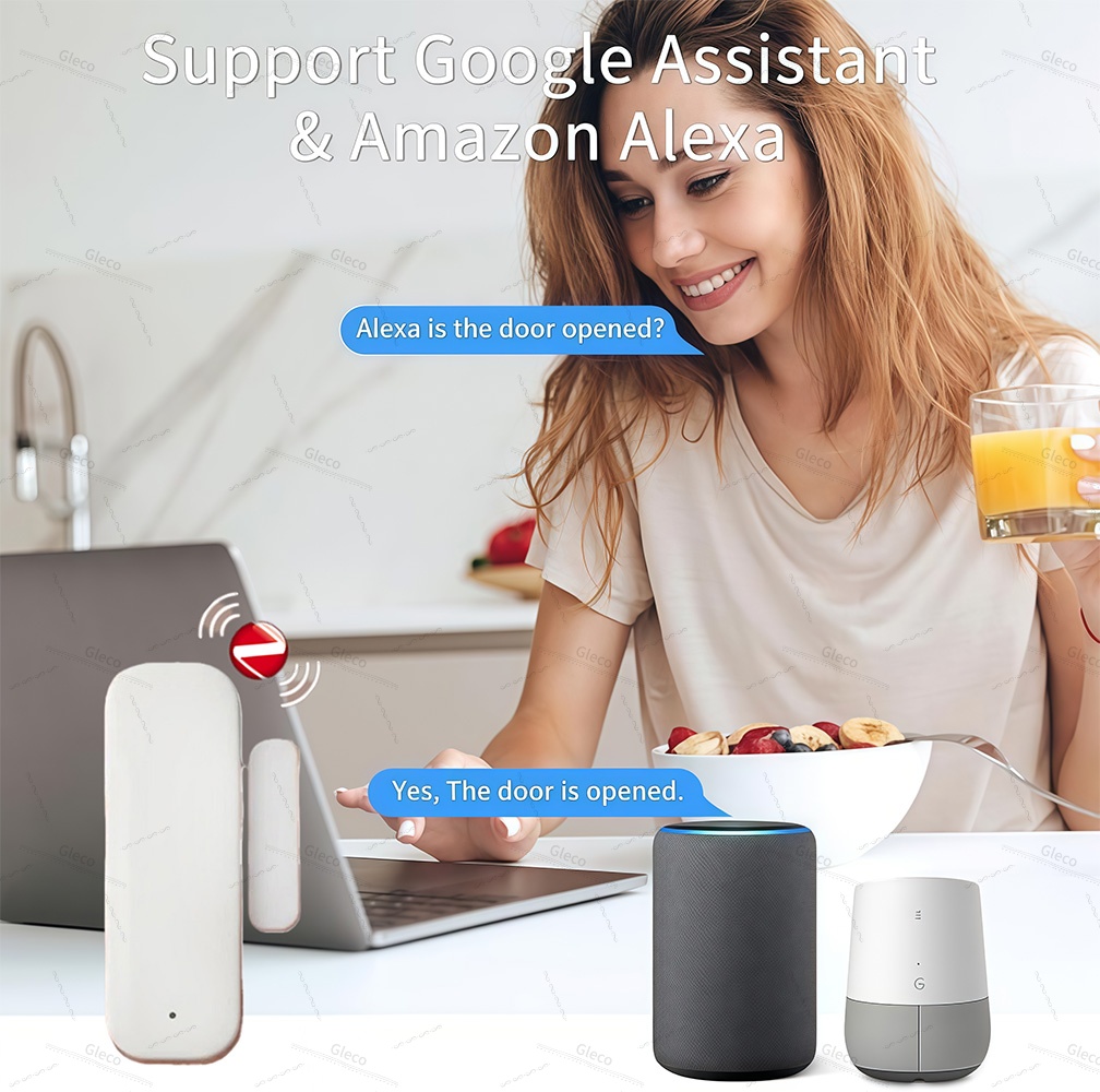Zigbee Raamdeursensor Detectie - Home Automation Ideas recensie en prijs