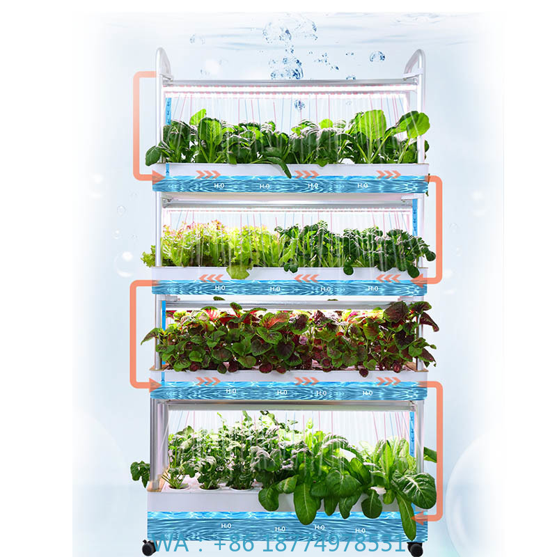 ydroponic plantsysteem Smart H - Smart Home Automation Diy recensie en prijs