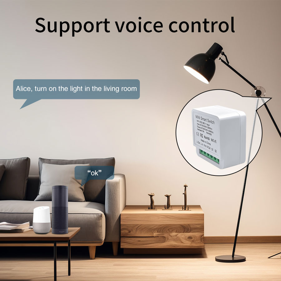16A/20A WiFi Mini Smart Switch - Home Automation Ideas recensie en prijs